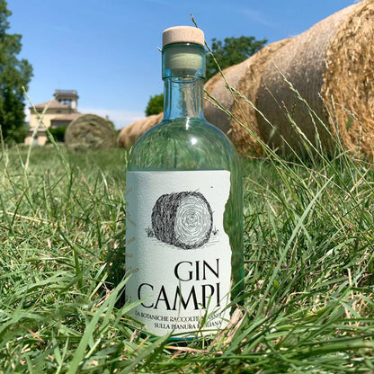 GIN CAMPI - Emilia Romagna Fields